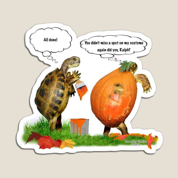 Tortoise in Pumpkin Halloween Costume Magnet