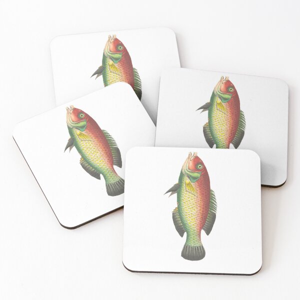 Item preview, Zebrafish designed and sold by sasijaya.