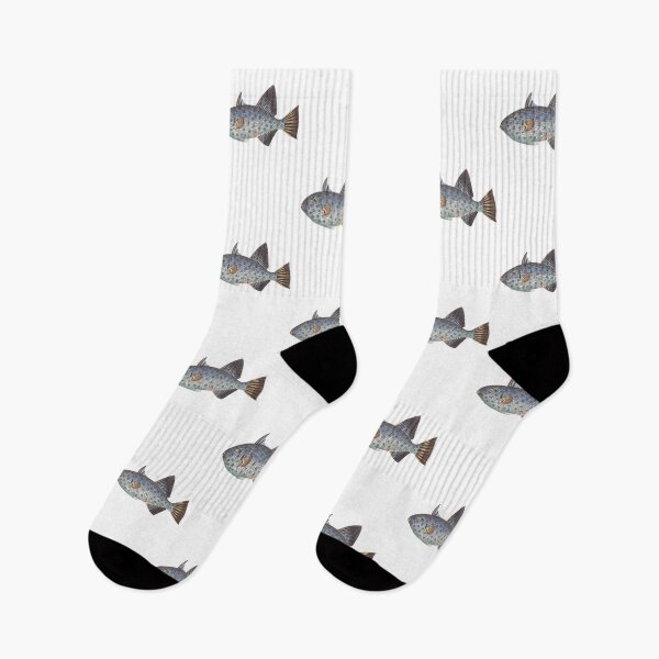 Item preview, Zebrafish designed and sold by sasijaya.