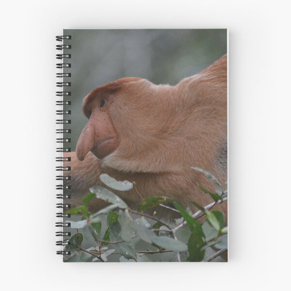 Item preview, Male Proboscis monkey  designed and sold by Barny  Martin.