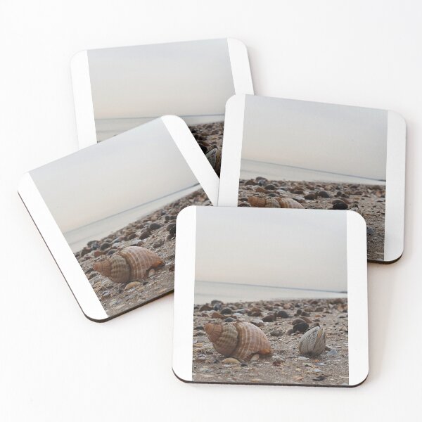 Item preview, Shells on a beach Photography designed and sold by s10-Photography.
