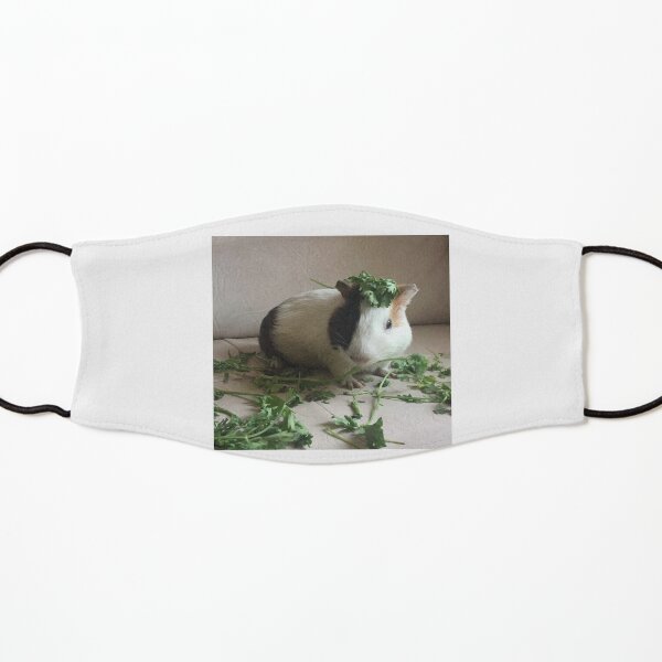 Totoro Masque enfant