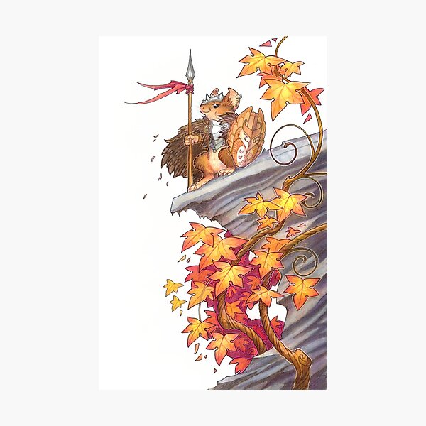 lookout Photographic Print