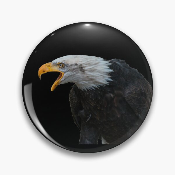 Item preview, Eagle Sticker / Eagle hunting / Falcon / Birds life Sticker designed and sold by lukas754.