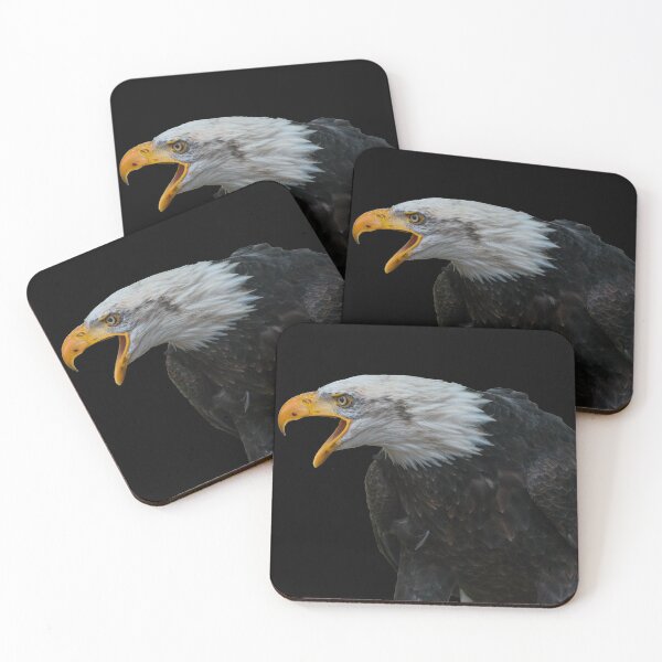 Item preview, Eagle Sticker / Eagle hunting / Falcon / Birds life Sticker designed and sold by lukas754.