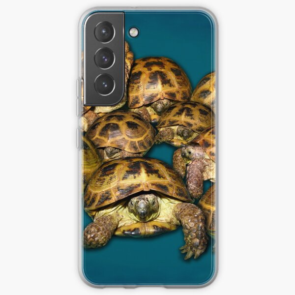 Greek Tortoise Group on Gray-Blue Background Samsung Galaxy Soft Case