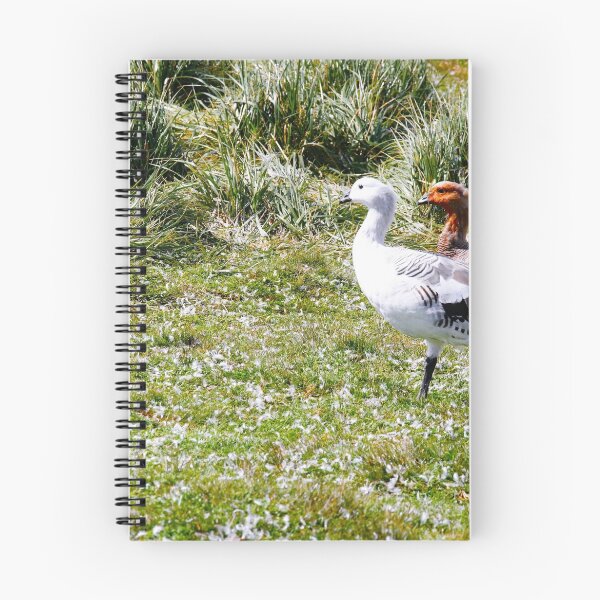 Item preview, Fauna, islas Falkland. designed and sold by cieloverde.