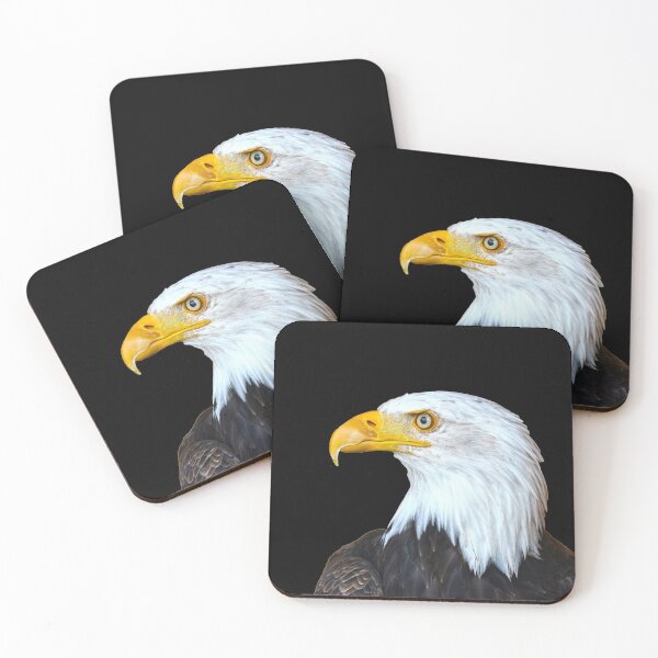Item preview, Eagle Sticker / Eagle hunting / Falcon / Birds life Sticker designed and sold by lukas754.