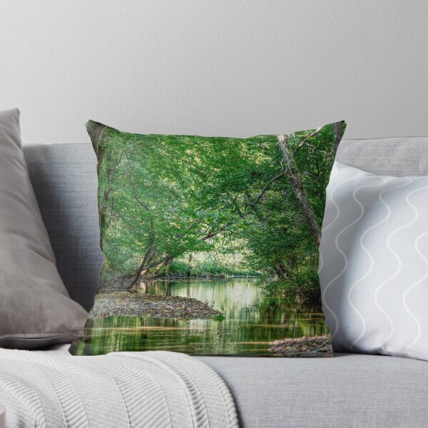 Item preview, Springfield MO Verde Naturaleza designed and sold by mljdwhite.