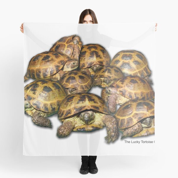 Greek Tortoise Group Scarf