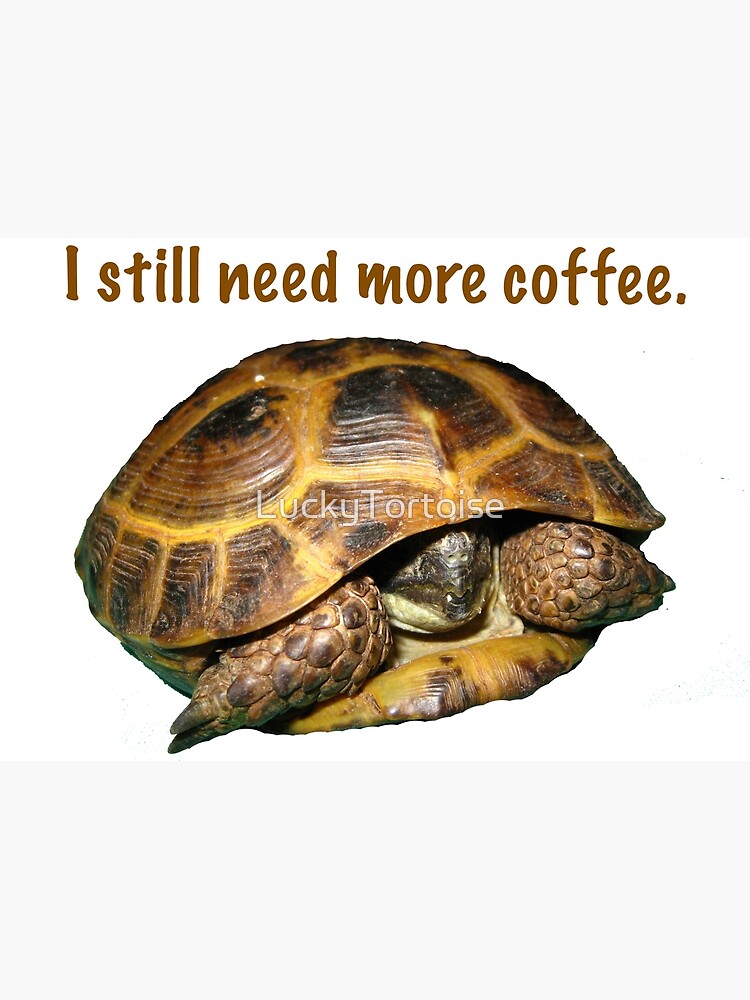 Tortoise I Still Need More Coffee Postcard By Luckytortoise Redbubble