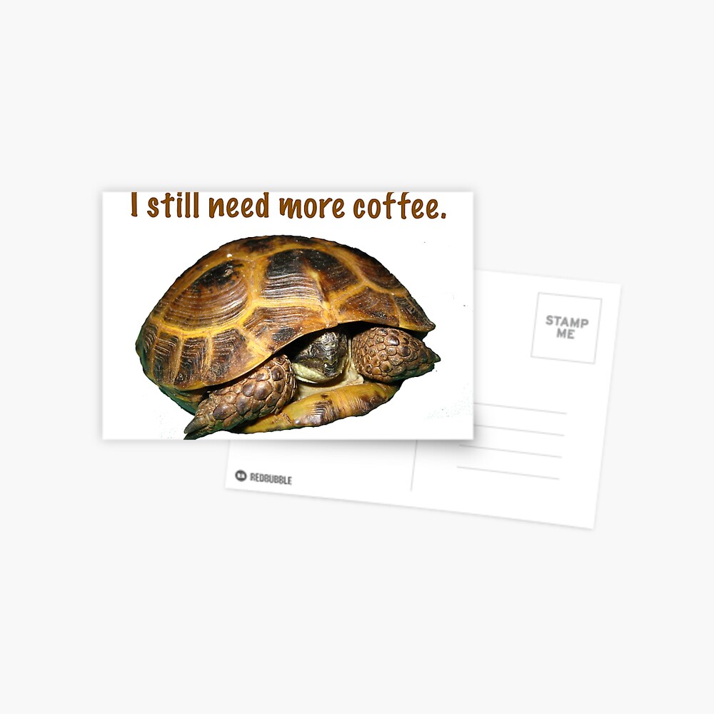 Tortoise I Still Need More Coffee Postcard By Luckytortoise Redbubble