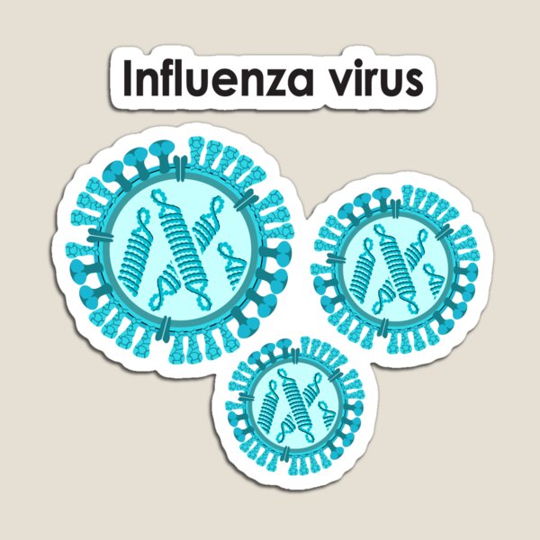 Influenza Virus Magnet