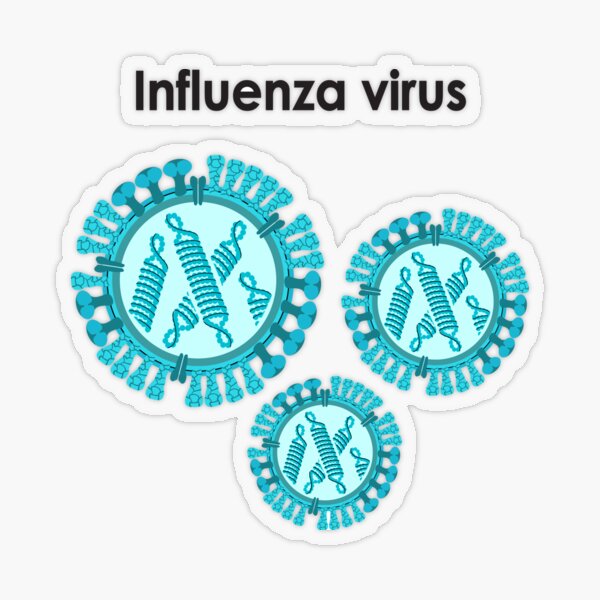 Influenza Virus Transparenter Sticker