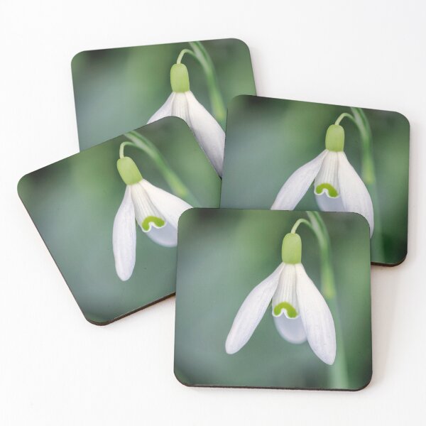 Item preview, A Single Snowdrop. designed and sold by John Ray.