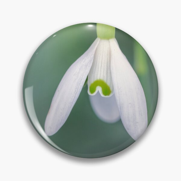 Item preview, A Single Snowdrop. designed and sold by John Ray.