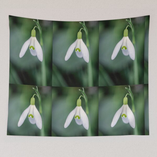 Item preview, A Single Snowdrop. designed and sold by John Ray.