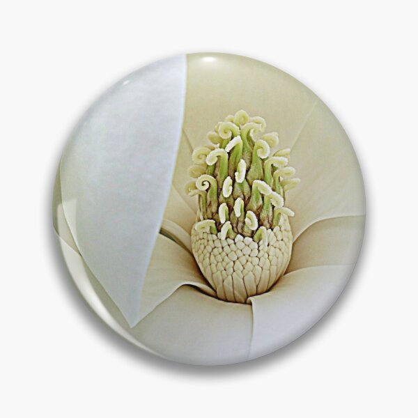 Item preview, Magnolia Carpels and Stamens designed and sold by Jean Gregory Evans.