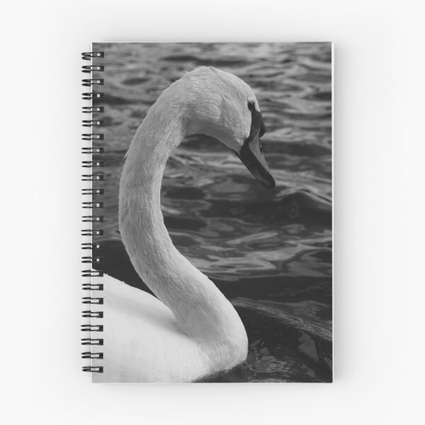 Item preview, Solo un cisne designed and sold by SeanPics.