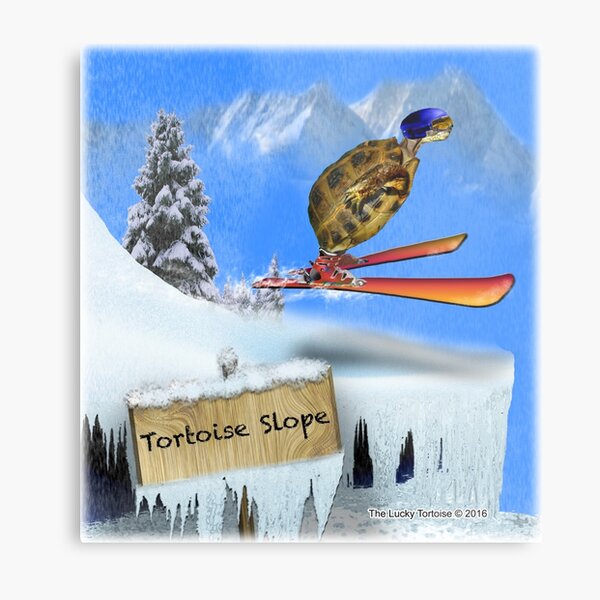Skiing Tortoise Slope Metal Print