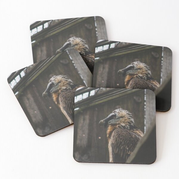 Item preview, Bearded vulture Photography designed and sold by Aelittia.
