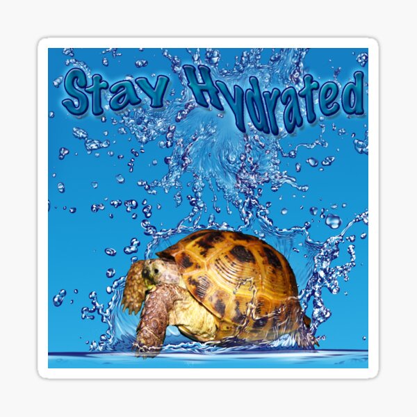Tortoise Staying Hydrated Sticker