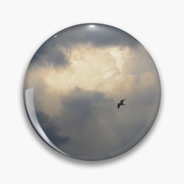Item preview, Gull designed and sold by HalpinPhoto.