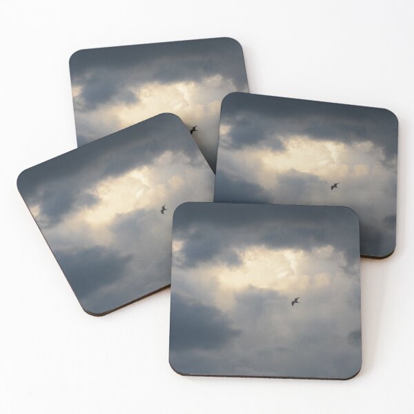 Item preview, Gull designed and sold by HalpinPhoto.