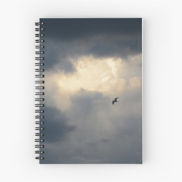 Item preview, Gull designed and sold by HalpinPhoto.