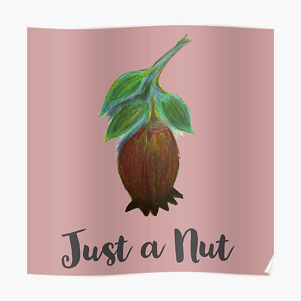 Poster Nuss Redbubble