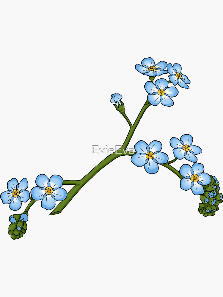 Forget-me-not by EvieEva