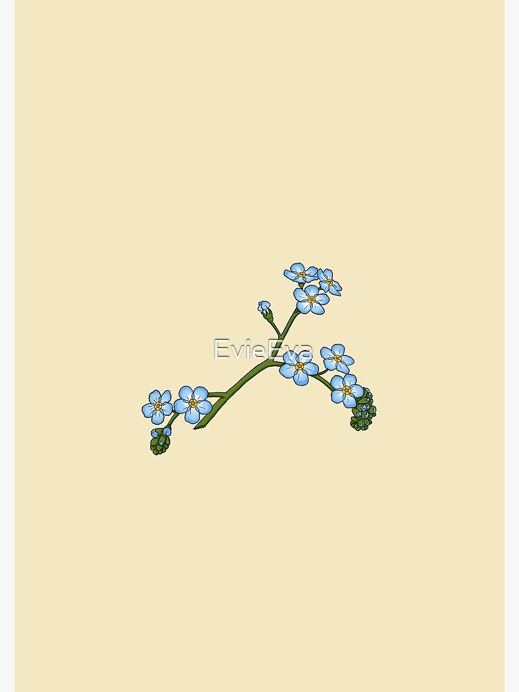 Forget-me-not by EvieEva