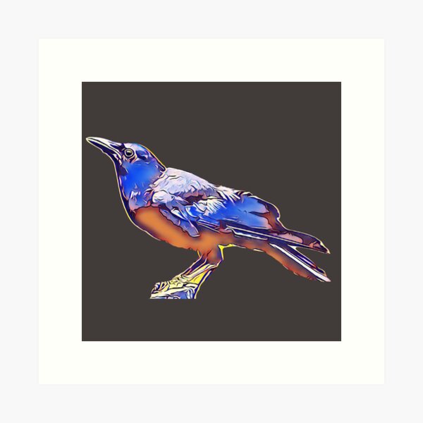 Rude Raven Art Prints for Sale | Redbubble