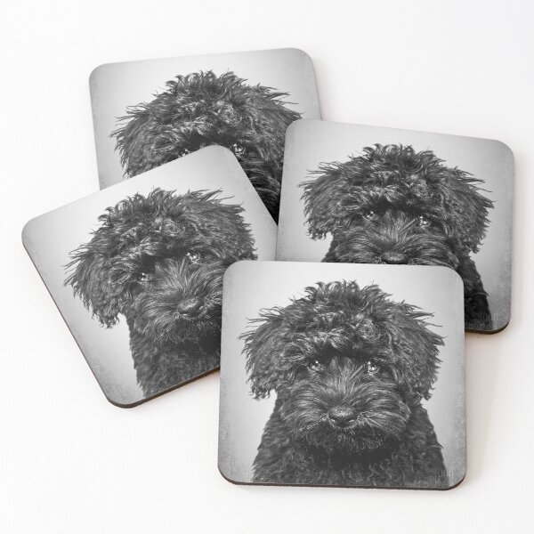 Item preview, Toy Poodle dog - BW Vintage - D86 designed and sold by DecoVintage.