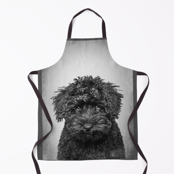 Item preview, Toy Poodle dog - BW Vintage - D86 designed and sold by DecoVintage.