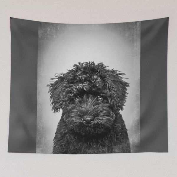 Item preview, Toy Poodle dog - BW Vintage - D86 designed and sold by DecoVintage.