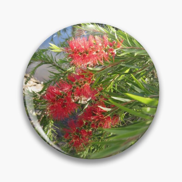 Item preview, Red bottlebrush designed and sold by greentiger1.