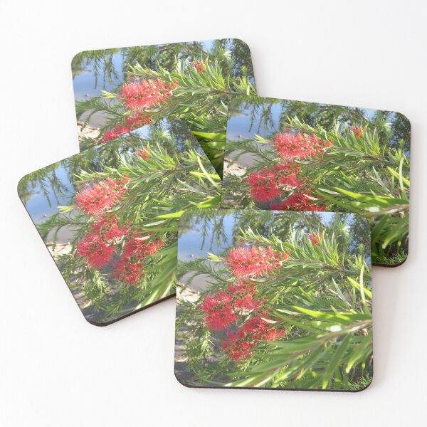 Item preview, Red bottlebrush designed and sold by greentiger1.
