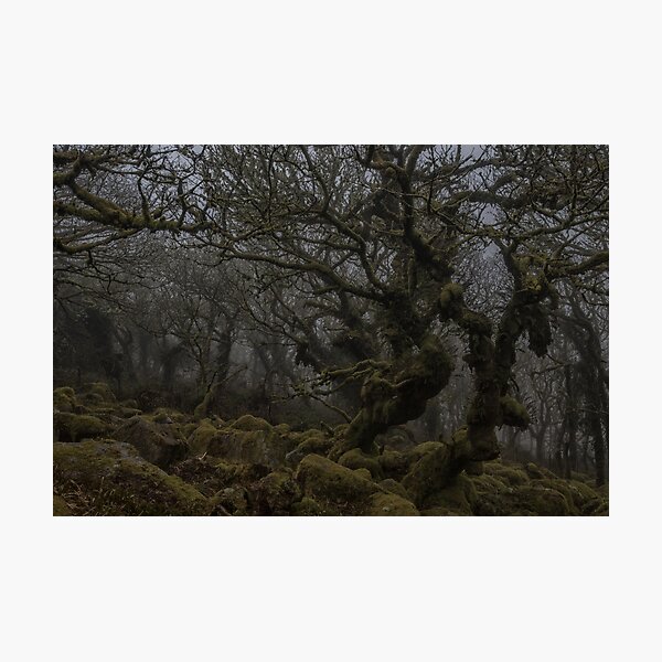 Item preview, Ghostly forest designed and sold by Guy  Berresford.