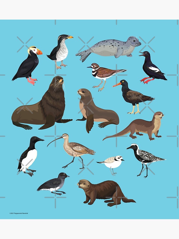 "Birds + Mammals" Poster by PepomintNarwhal | Redbubble