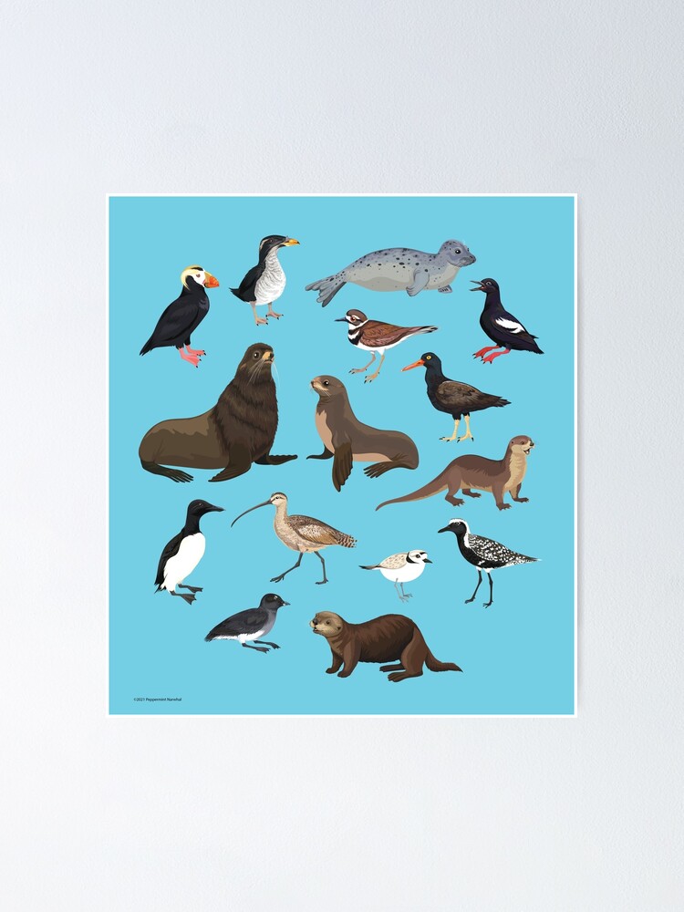 "Birds + Mammals" Poster by PepomintNarwhal | Redbubble