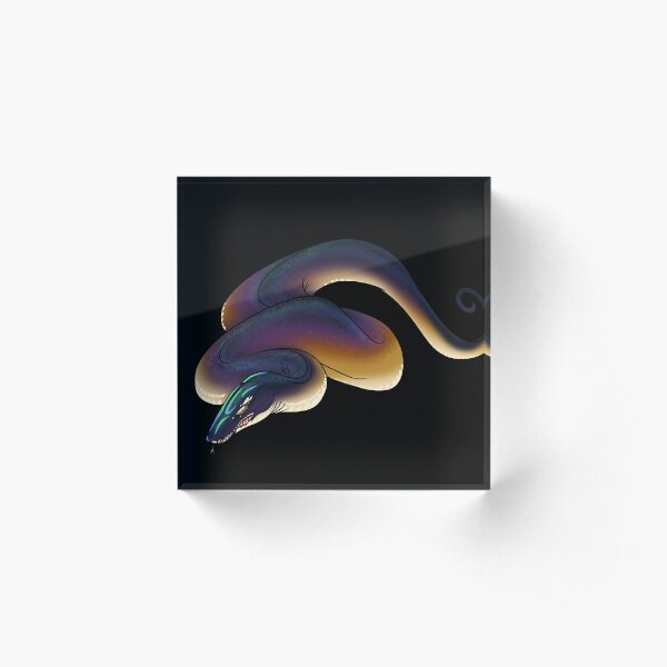 Regenbogen Python Geschenke Merchandise Redbubble