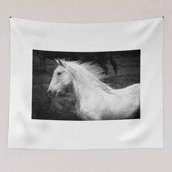 Item preview, Portrait of white horse, with mane flying in the wind. designed and sold by AylaHarbich.