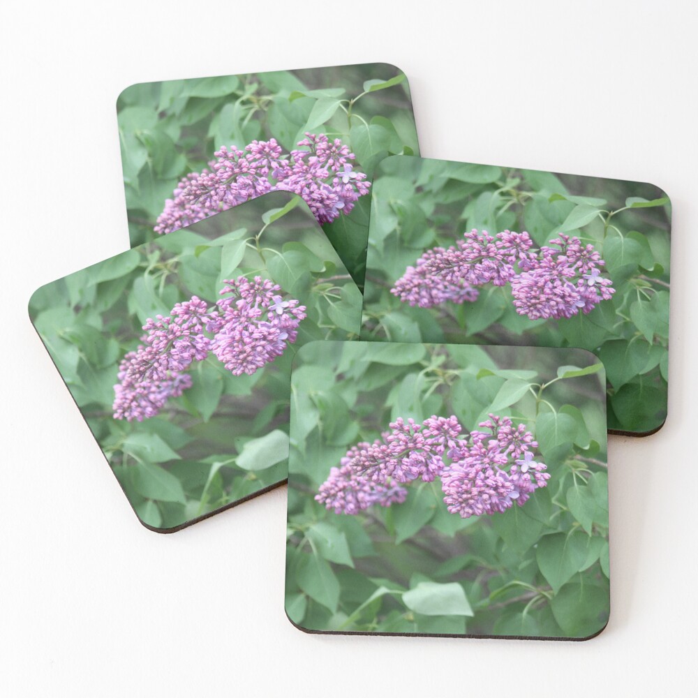 Item preview, Coasters (Set of 4) designed and sold by SimplyPractical.