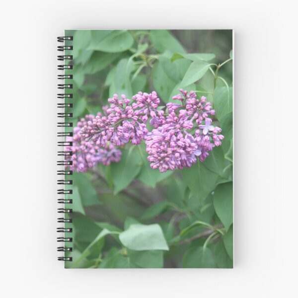 Item preview, Spring Lilacs  designed and sold by SimplyPractical.