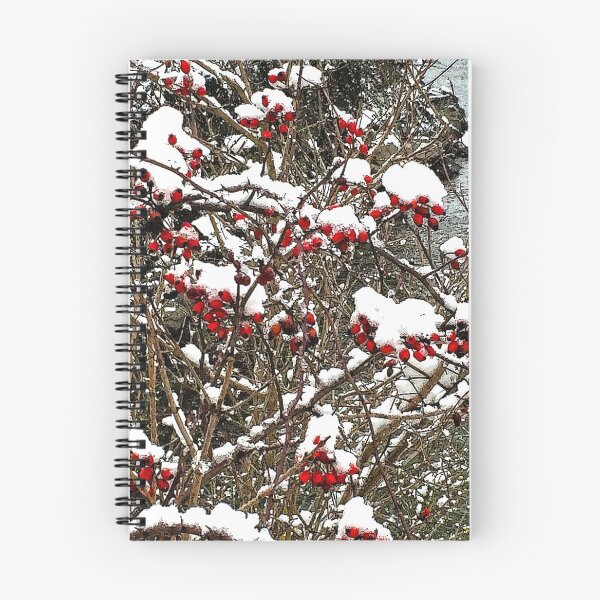 Item preview, Red rose hips on a bush in the snow down by the river designed and sold by Michael Brewer.
