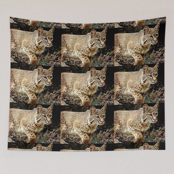 Item preview, Bobcat Stalking designed and sold by Jean Gregory Evans.