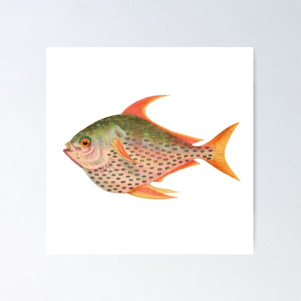 Artikelvorschau, Vintage tropisches Fischdesign entworfen und verkauft von TrippyEarth.