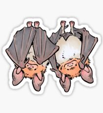 Greater mouse-eared bats Sticker