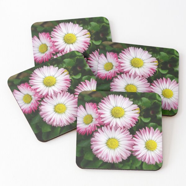 Item preview, Beautiful Spring Daisies Shining in the Meadow designed and sold by ALEX PHOTO DREAMS.